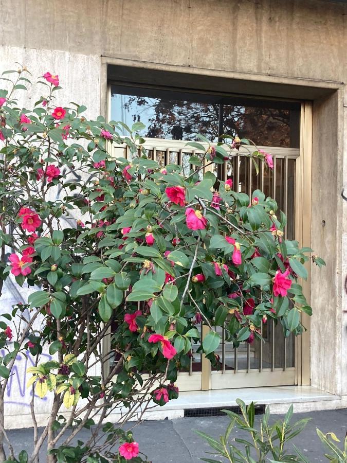 밀라노 City House Viale Murillo 아파트 외부 사진