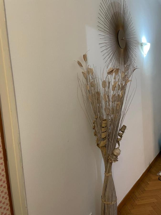 밀라노 City House Viale Murillo 아파트 외부 사진
